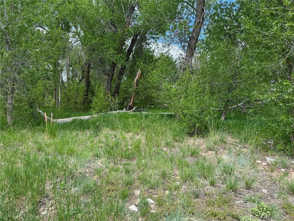 LOT46 Cherry St, La Veta, CO 81055