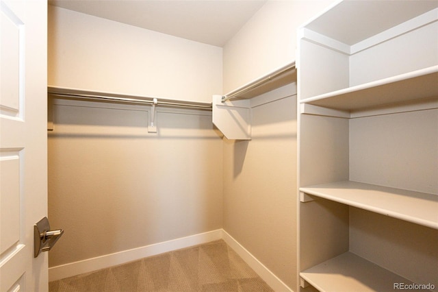 spacious closet with carpet floors