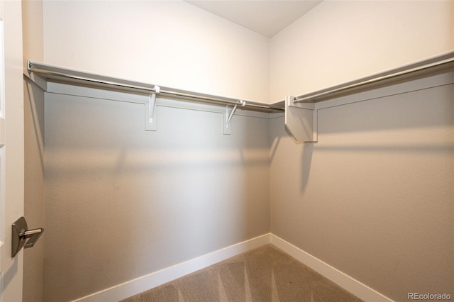 spacious closet with carpet flooring