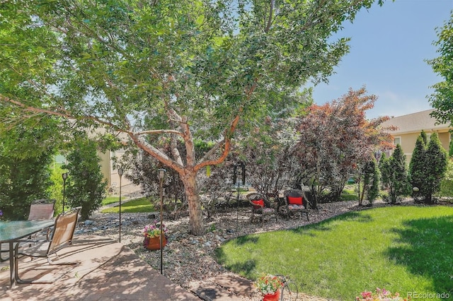 8582 E 148th Ln, Thornton, CO 80602 - view of grassy yard with a patio