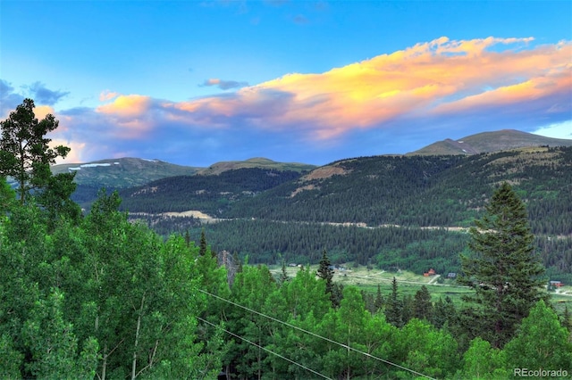 1095 Quartzville, Alma, CO 80440 - photo 4