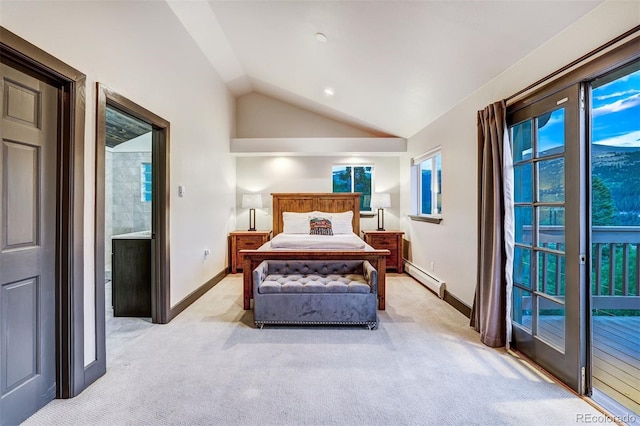 1095 Quartzville, Alma, CO 80440 - photo 13