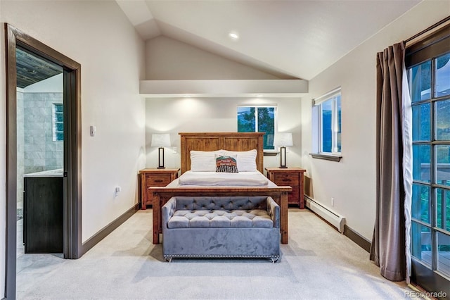1095 Quartzville, Alma, CO 80440 - photo 14