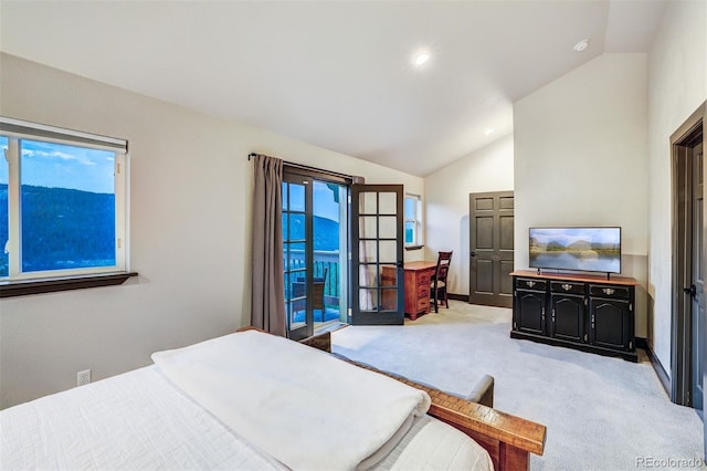 1095 Quartzville, Alma, CO 80440 - photo 15