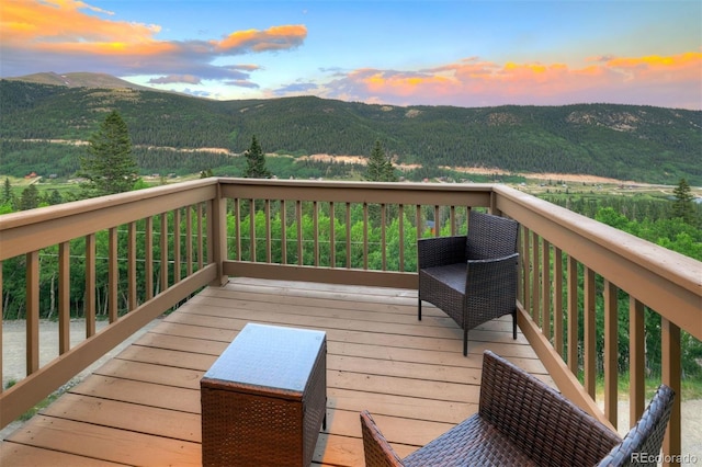 1095 Quartzville, Alma, CO 80440 - photo 16