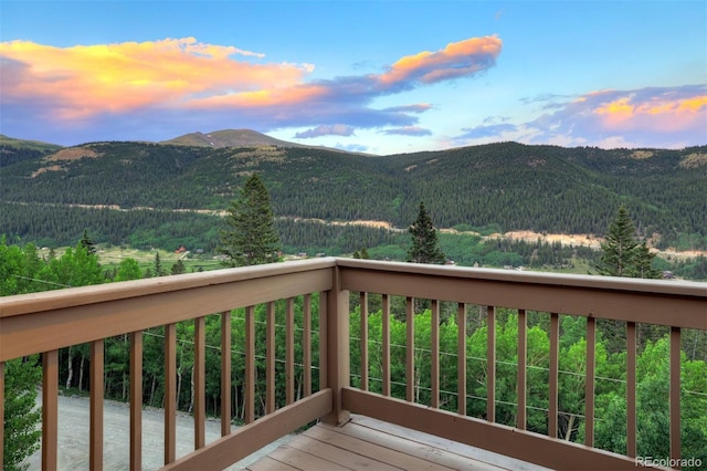 1095 Quartzville, Alma, CO 80440 - photo 17