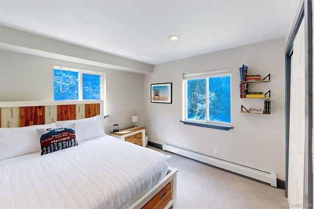 1095 Quartzville, Alma, CO 80440 - photo 27