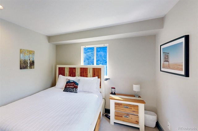 1095 Quartzville, Alma, CO 80440 - photo 28