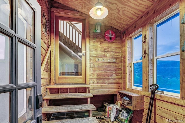 1095 Quartzville, Alma, CO 80440 - photo 30