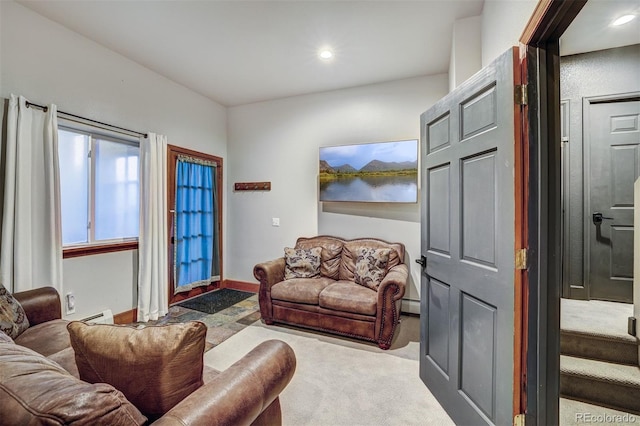 1095 Quartzville, Alma, CO 80440 - photo 31