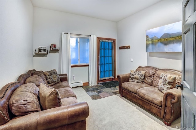 1095 Quartzville, Alma, CO 80440 - photo 37