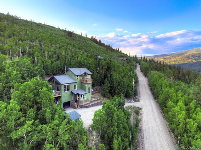 1095 Quartzville, Alma, CO 80440 - photo 43