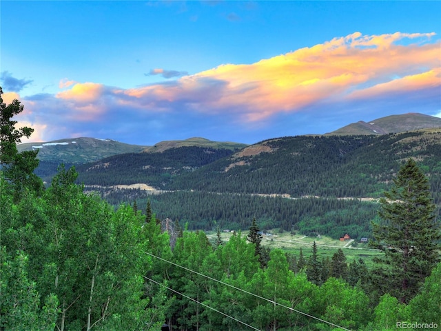1095 Quartzville, Alma, CO 80440 - photo 47