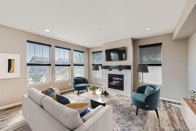 living room with a fireplace and light hardwood / wood-style flooring