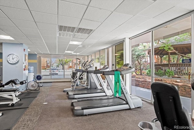 550 E 12th Ave Unit 209, Denver, CO 80203 - gym with carpet floors and expansive windows