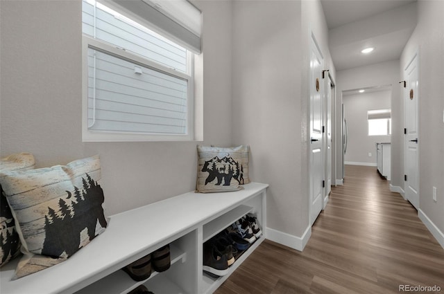 mudroom with dark hardwood / wood-style flooring