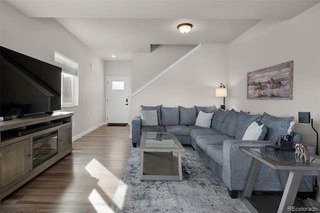 living room featuring wood-type flooring