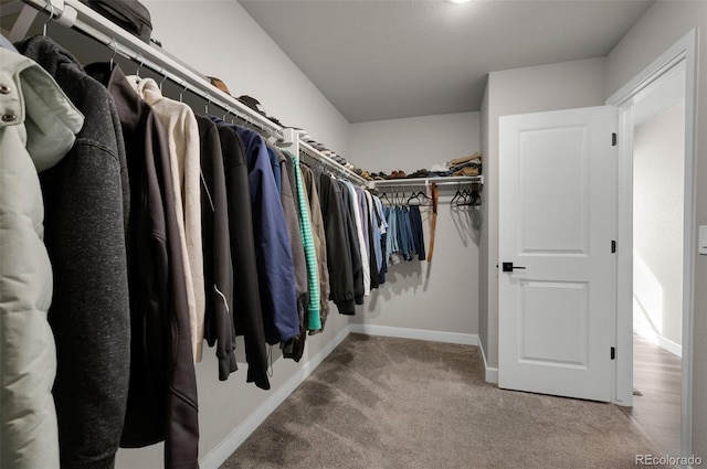 spacious closet featuring carpet