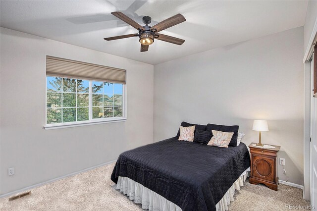 1884 Covered Bridge Pkwy, Windsor, CO 80550 - photo 12