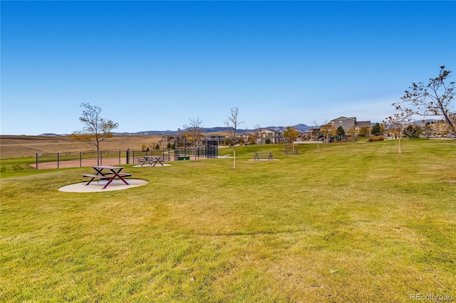 16226 W 94th Dr, Arvada, CO 80007 - view of yard