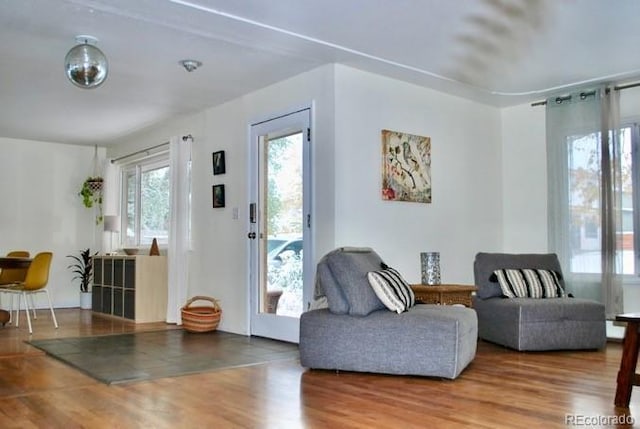 living area with wood-type flooring