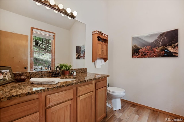 1321 Forest Edge Rd, Woodland Park, CO 80863 - bathroom featuring wood finished floors, vanity, and toilet