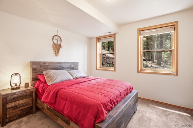 1321 Forest Edge Rd, Woodland Park, CO 80863 - carpeted bedroom with baseboards