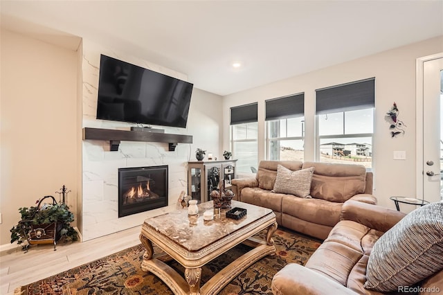 living room featuring hardwood / wood-style flooring and a premium fireplace