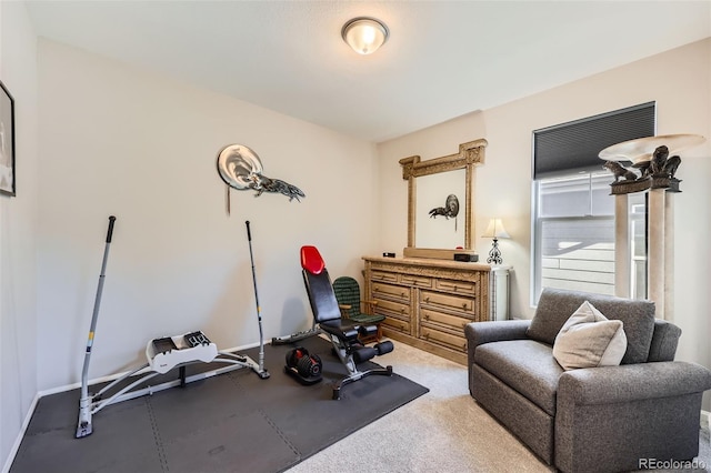 exercise room with carpet