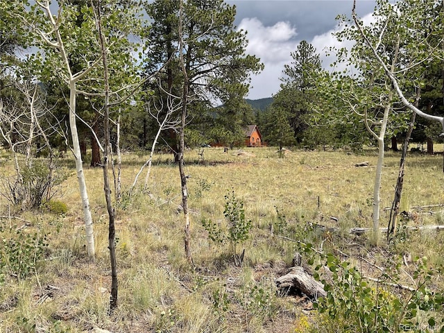 view of local wilderness