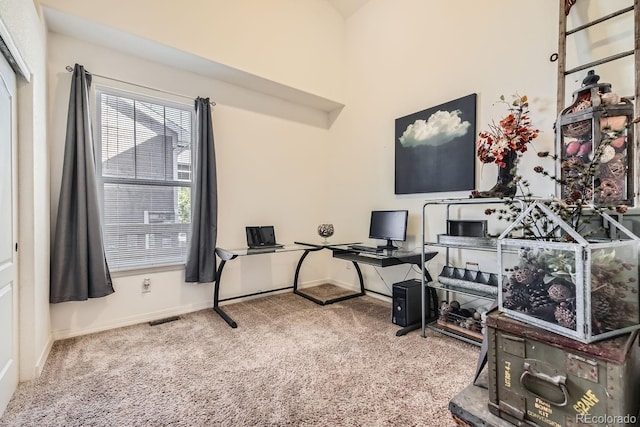 office featuring carpet flooring