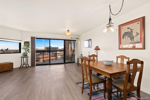 dining room with dark hardwood / wood-style flooring and plenty of natural light