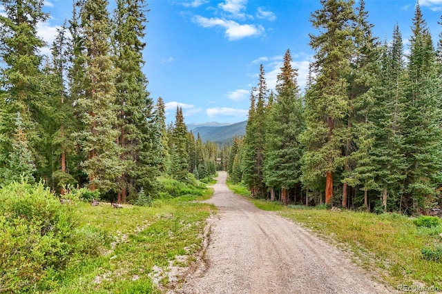 0057 County Road 675, Breckenridge, CO 80424 - photo 1