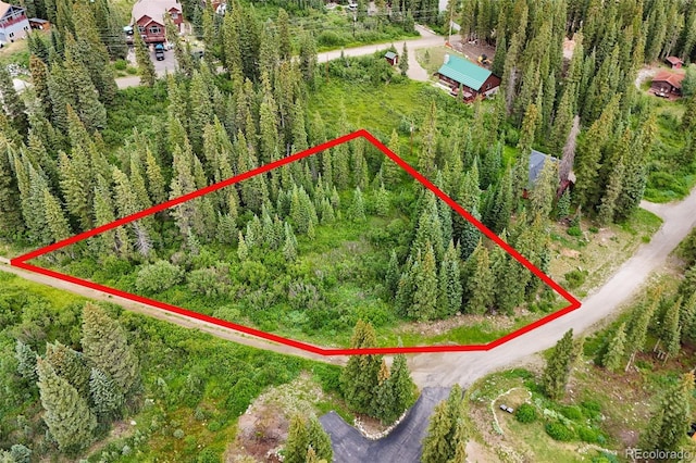0057 County Road 675, Breckenridge, CO 80424 - photo 5