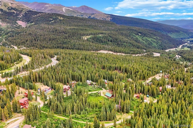 0057 County Road 675, Breckenridge, CO 80424 - photo 6