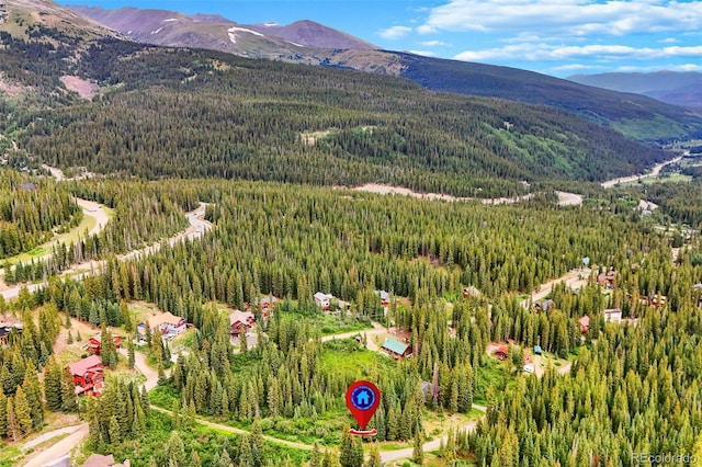 0057 County Road 675, Breckenridge, CO 80424 - photo 7