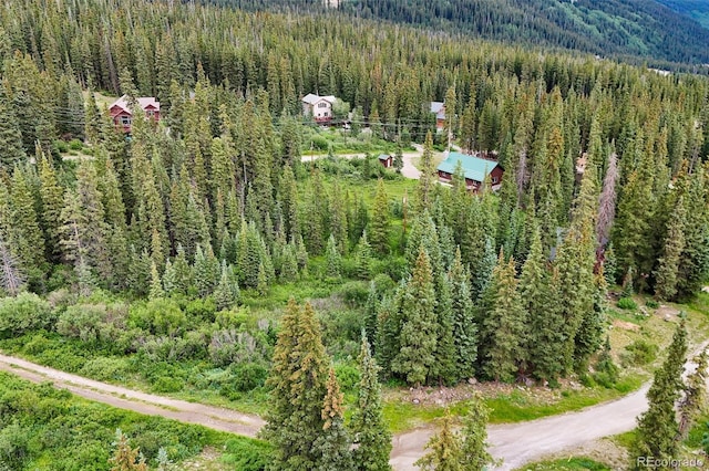 0057 County Road 675, Breckenridge, CO 80424 - photo 8