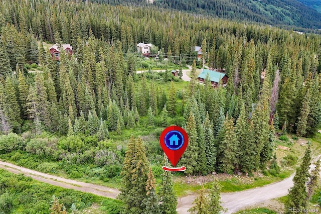 0057 County Road 675, Breckenridge, CO 80424 - photo 9