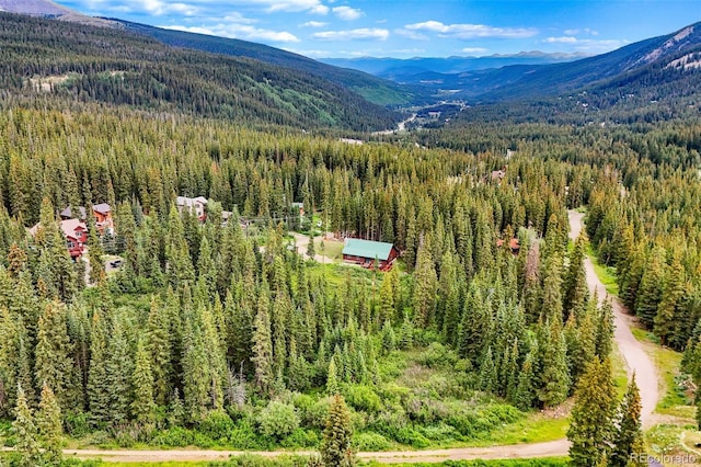 0057 County Road 675, Breckenridge, CO 80424 - photo 10
