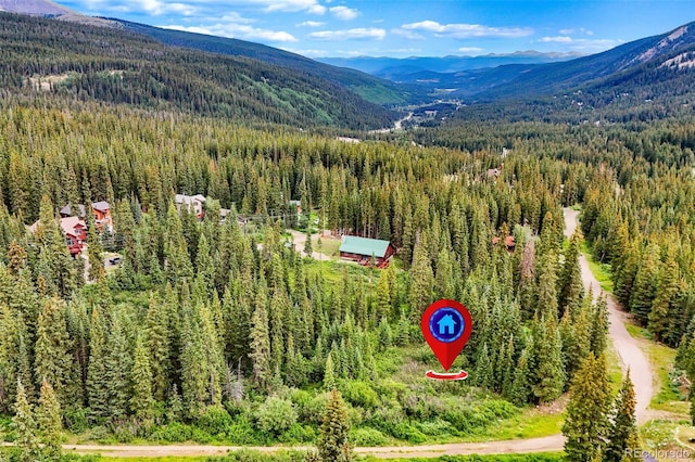 0057 County Road 675, Breckenridge, CO 80424 - photo 11