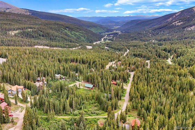 0057 County Road 675, Breckenridge, CO 80424 - photo 12