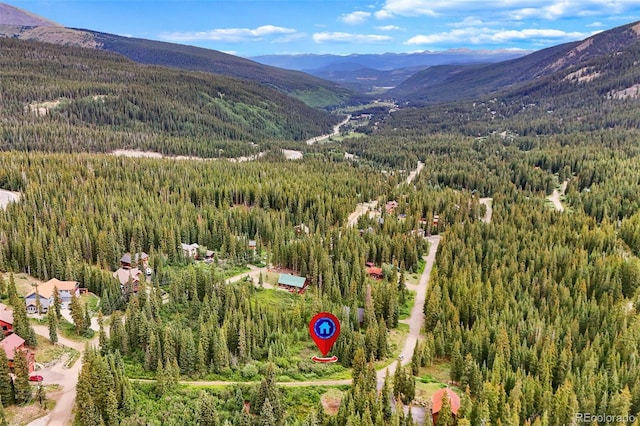 0057 County Road 675, Breckenridge, CO 80424 - photo 13