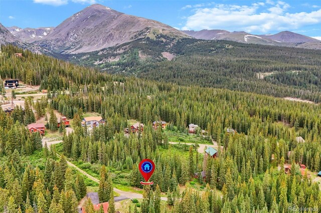 0057 County Road 675, Breckenridge, CO 80424 - photo 15