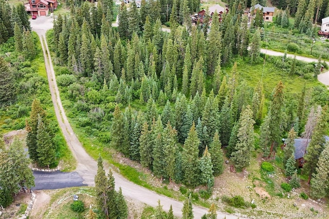 0057 County Road 675, Breckenridge, CO 80424 - photo 16