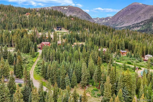 0057 County Road 675, Breckenridge, CO 80424 - photo 18