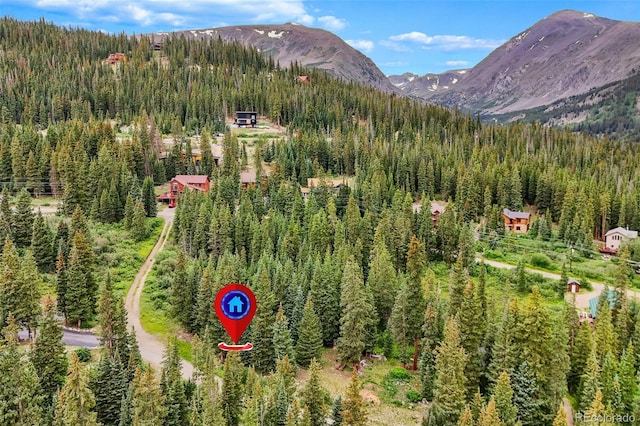 0057 County Road 675, Breckenridge, CO 80424 - photo 19