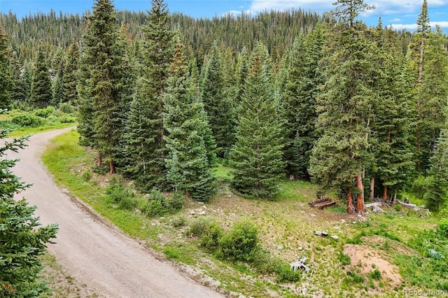 0057 County Road 675, Breckenridge, CO 80424 - photo 20