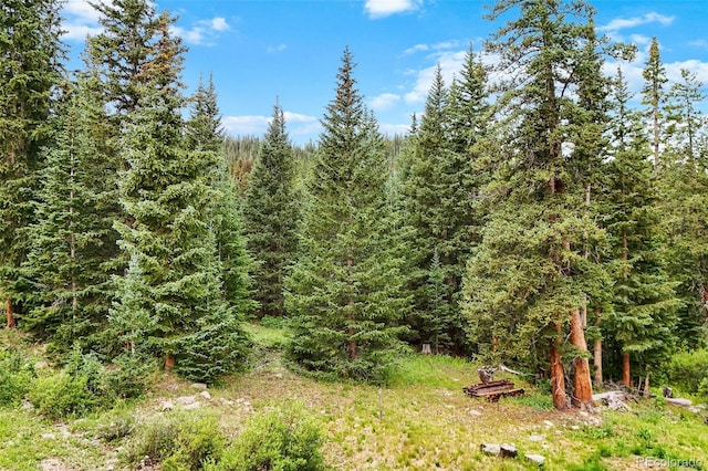 0057 County Road 675, Breckenridge, CO 80424 - photo 21