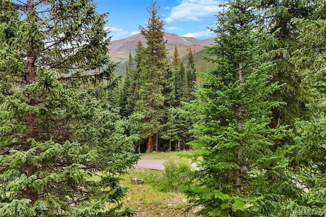 0057 County Road 675, Breckenridge, CO 80424 - photo 22