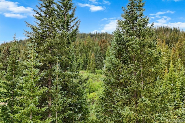0057 County Road 675, Breckenridge, CO 80424 - photo 23